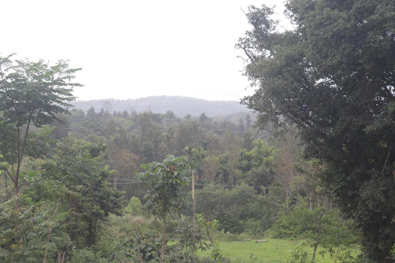 Stoneage Resort Sakleshpur Bagian luar foto